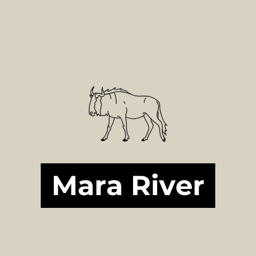Mara River Crossings Logo