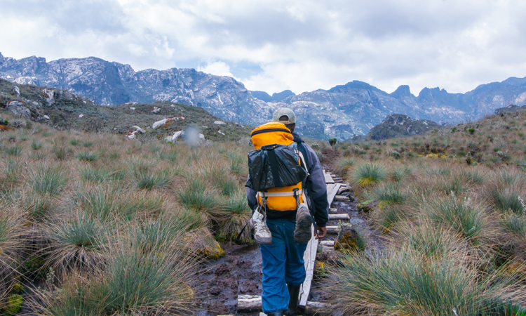 15-Day Rwenzori Hike and Masai Mara Safari: Ultimate African Adventure