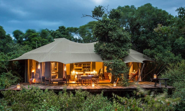 MARA PLAINS CAMP